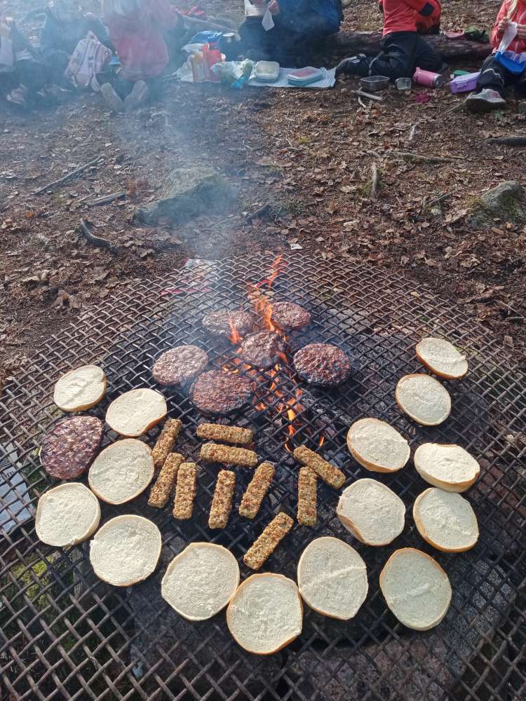 Höst i Mulleskogen